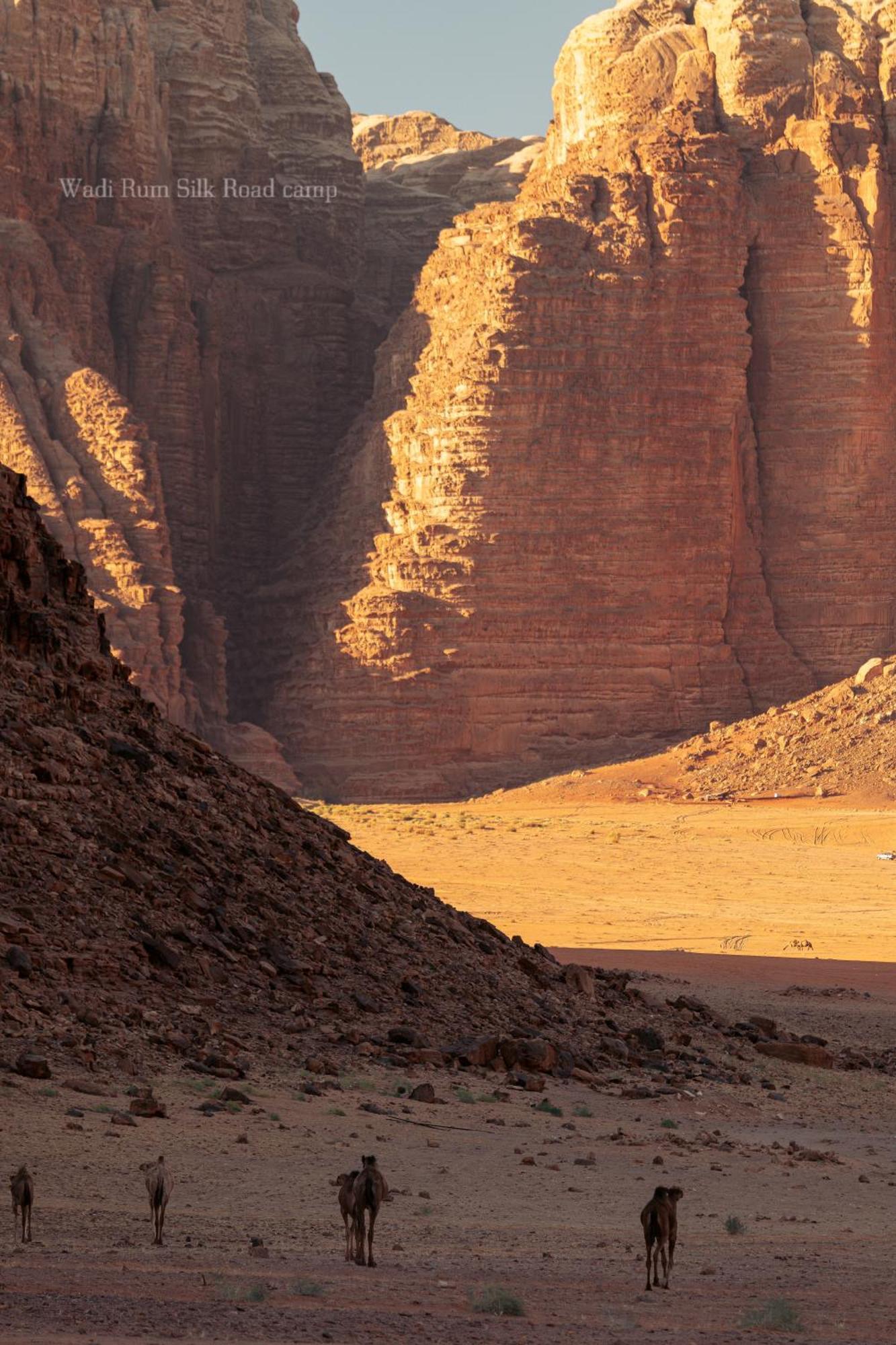 Wadi Rum Silk Road Camp Экстерьер фото